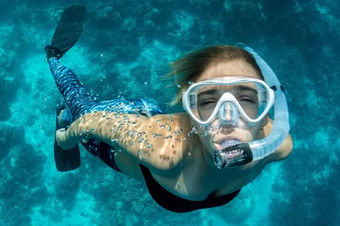 All-Day Snorkel Package with Wetsuit Rental