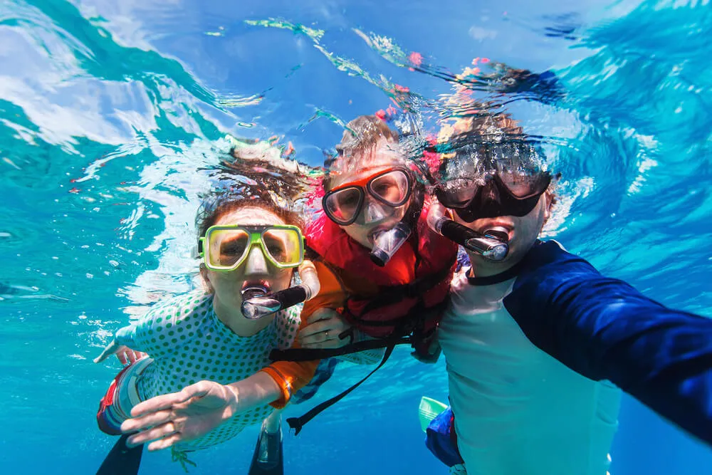 La Jolla Cove Guided Snorkeling Tour