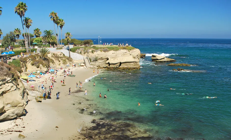 A snorkeler in a wetsuit floating over the reef at La Jolla Cove, dressed for the la jolla water temperature snorkeling conditions